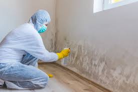 Best Mold Documentation for Insurance Claims  in Montezuma, IA