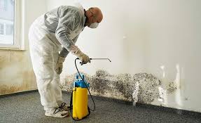 Best Emergency Mold Remediation  in Montezuma, IA